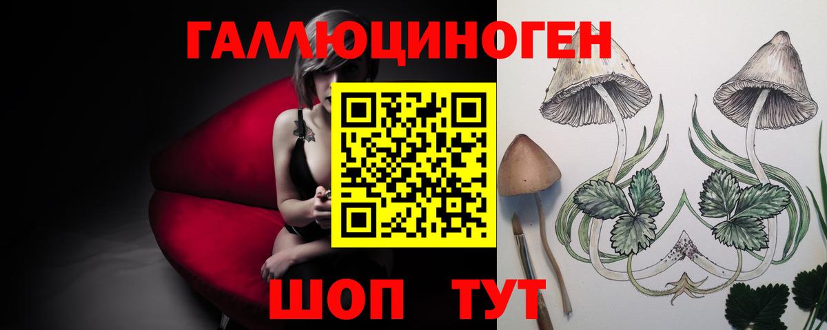 Донецк  продажа наркотиков  Вход с VPN  Псилоцибиновые грибы GOLDEN TEACHER 